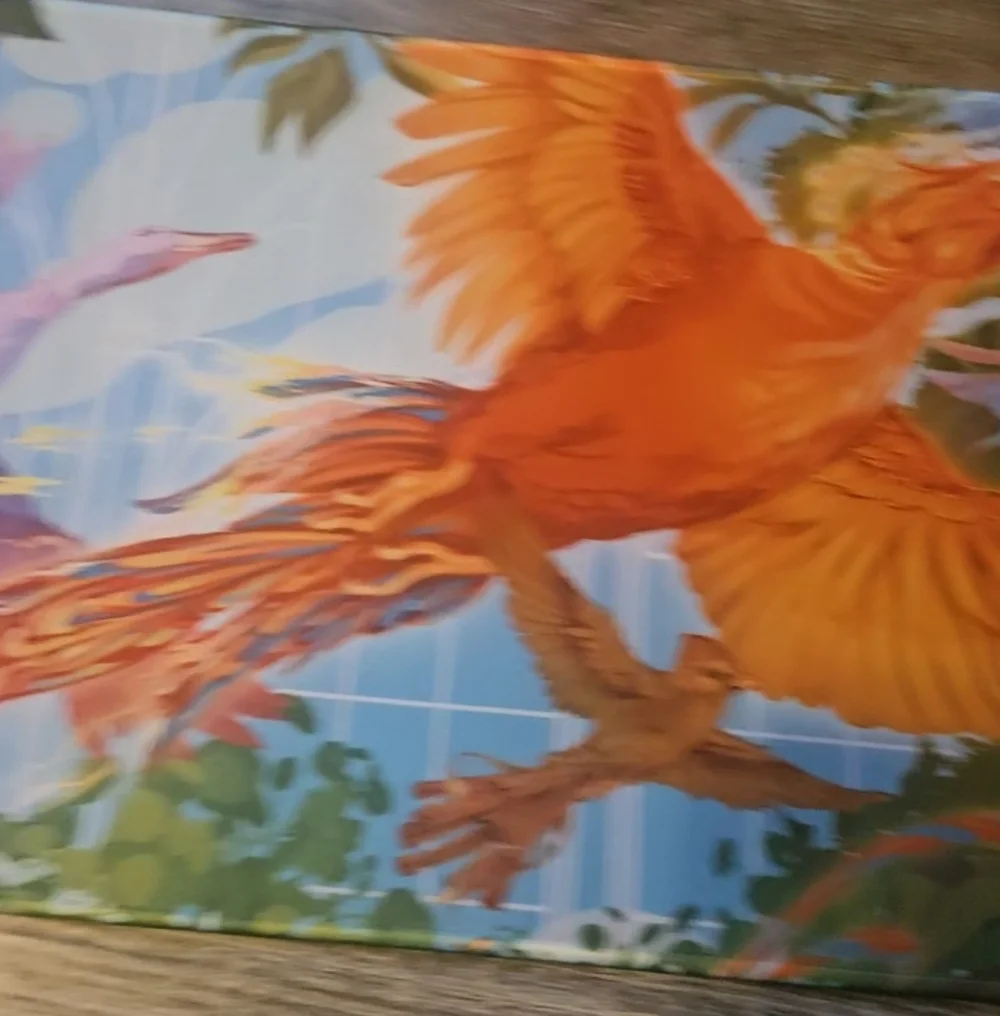 Lot Of Illumicrate Items - Picture 5 of 16